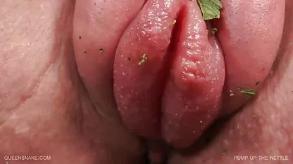 Trois lesbiennes libérées profitent de la baise film x francais amateur gratuit au lit